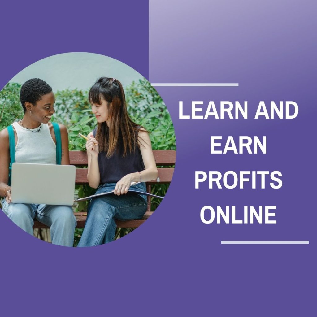 Learn and earn profits online by mastering digital marketing skills and leveraging e-commerce platforms