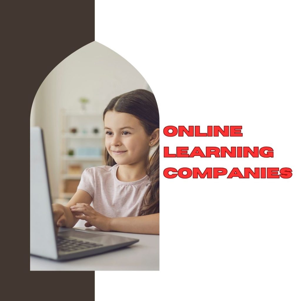 Online learning companies offer educational content delivered via the internet. They cater to diverse audiences, from professionals to students.