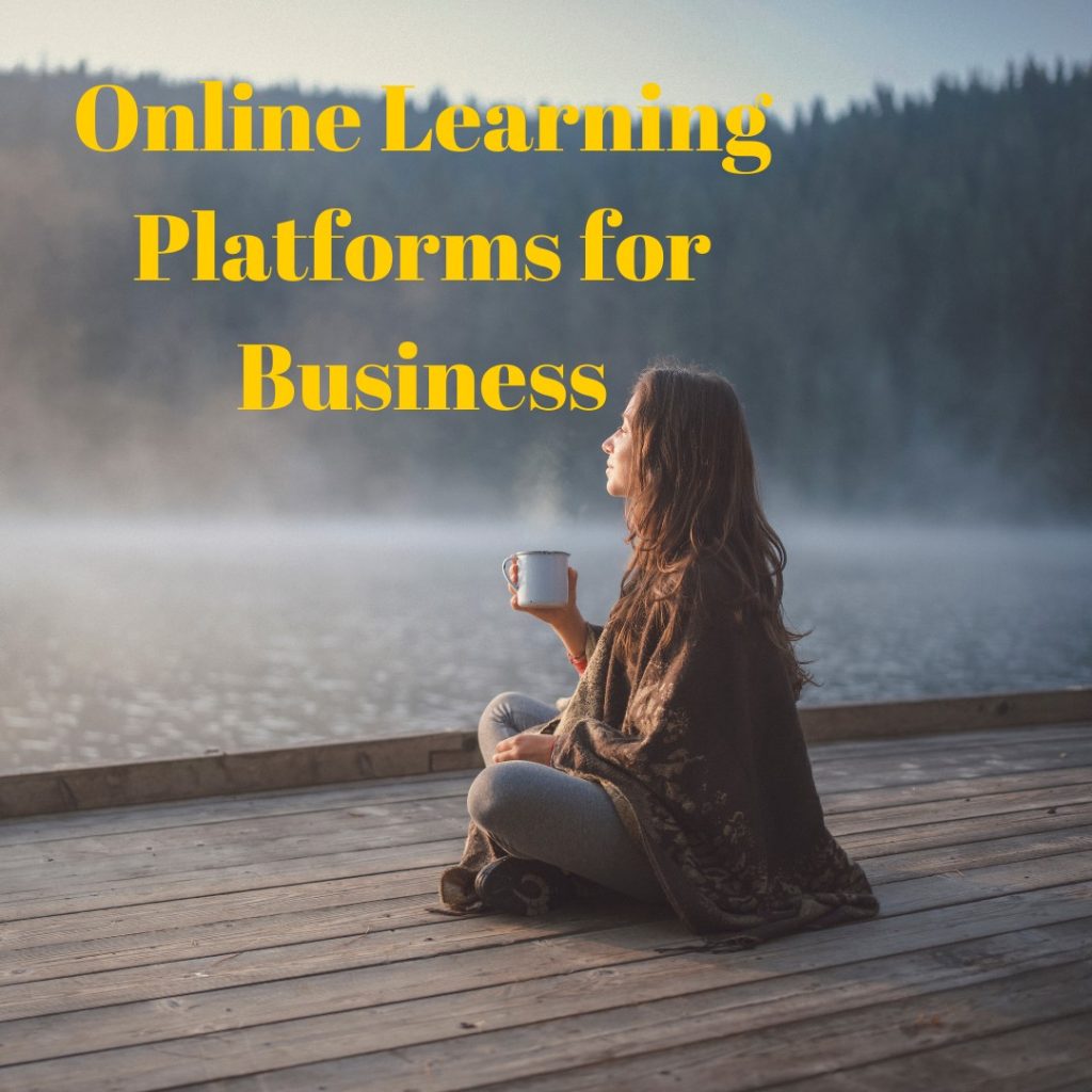 The swift rise of online learning platforms has revolutionized the way businesses upskill their teams.